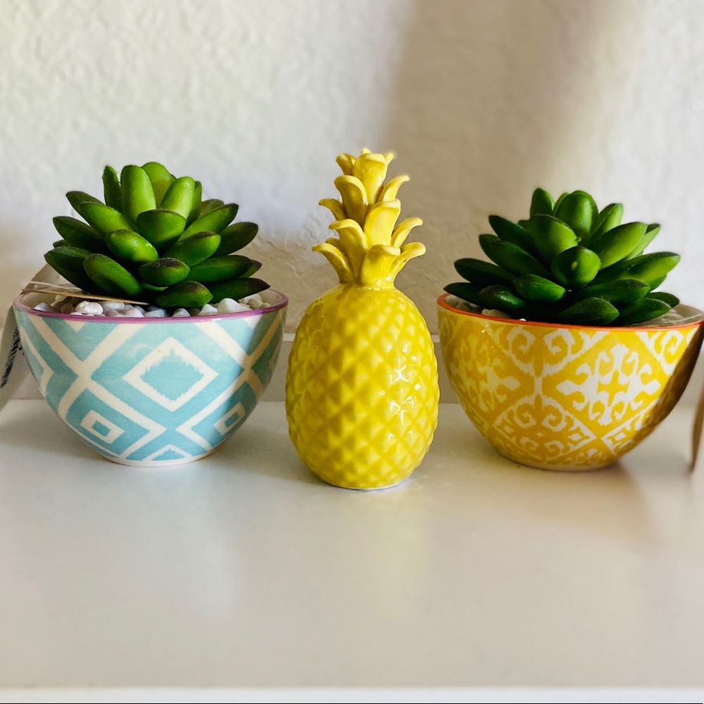 Succulent decor